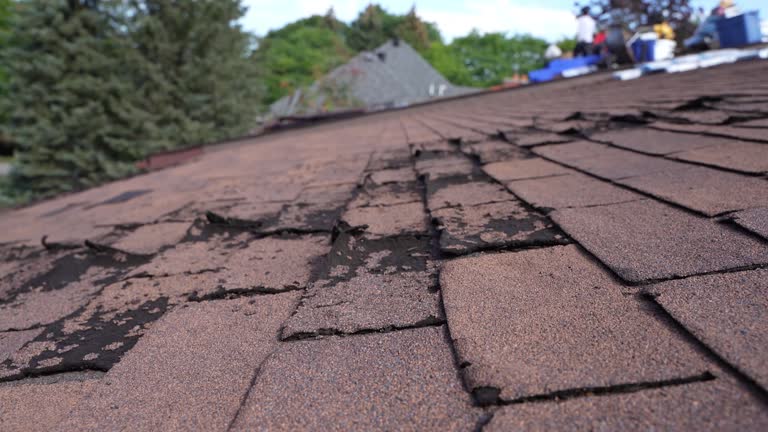 Best Roof Ventilation Installation  in Greensburg, LA