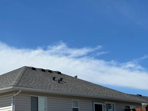 Best Asphalt Shingle Roofing  in Greensburg, LA